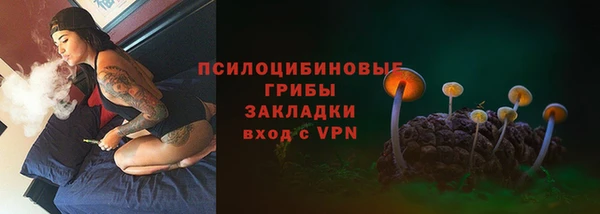 дживик Вяземский