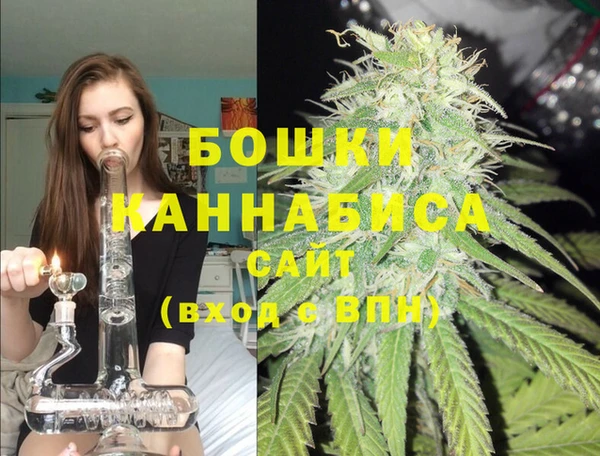 мдпв Волоколамск