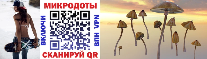 darknet как зайти  Карачаевск  Псилоцибиновые грибы MAGIC MUSHROOMS 